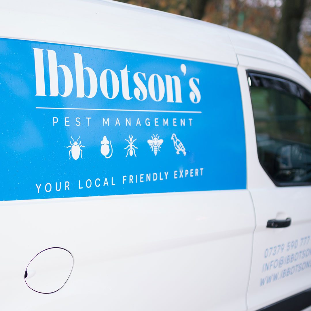 homes-businesses-control-pest-management-03